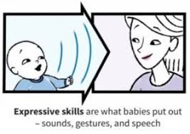 Baby Communication Development Language Skills Pathways Org