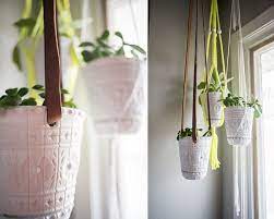 The Perfect Indoor Gardening Ideas