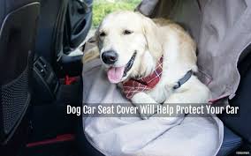 Dog Car Seat Cover Will Help Protect
