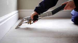 carpet cleaning in greystones premier