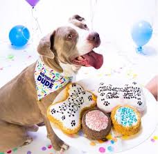 All natural dog birthday cakes, personalized cakes, doggie cupcakes, pup pies and more. Top 5 Dog Cake Mixes Reviewed The Dog Bakery