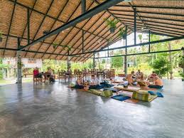 top 12 best yoga retreats in thailand