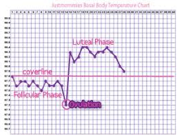 Charting Your Bbt Basal Body Temperature Basal Body