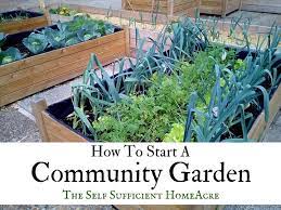 How To Start A Community Garden The