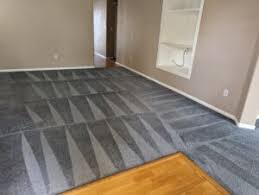 ever steam carpet