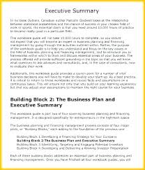Sample Executive Summary 8 Examples In Word Business Example