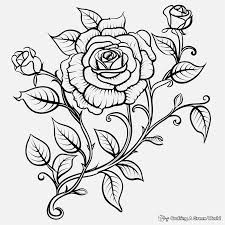 flower vine coloring pages free