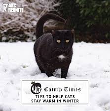 The most common feral cat shelter material is metal. Tips To Help Cats Stay Warm In Winter Akc Reuntite The Catnip Times