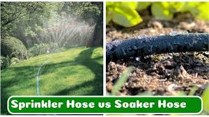 Soaker Hose Vs Sprinkler Systems Clear
