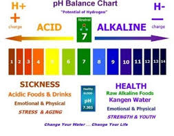 What Is Your Ph Level Ph Balance Diet Alkaline Diet