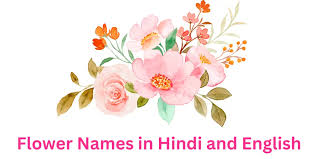 flowers names in hindi and english with