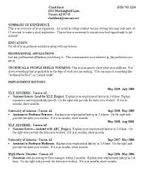 Resume Sample For College Students Good Resume Example An Example Of