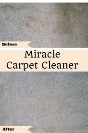 miracle diy carpet cleaner solution