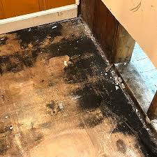 Mold Remediation Services In Baltimore