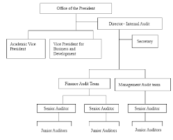 Organizational Structure Internal Audit Office Of The
