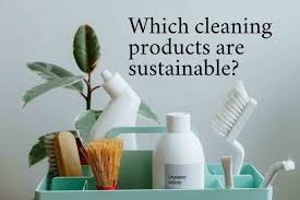 eco friendly natural cleaning brands