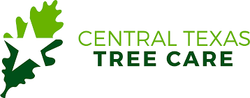 Call today for a free tree care quote. Georgetown Tree Service Trimming Removal