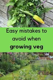 Growing Veg The 8 Mistakes You Can
