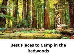5 best cground in redwood national