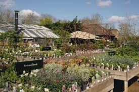 Beautiful Garden Centres In London