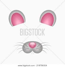 Mouse Face Elements Vector Photo Free Trial Bigstock