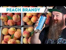 i turned 44 lb of peaches into brandy