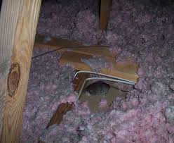 a dead rat in the attic