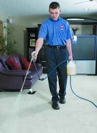 carpet cleaning process cleaners in