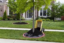 We've picked the top waxhaw tree care companies, including rhodes tree service inc, jackleggs or us tree service and moises d cifuentes. Tree Service Tree Care Services Near Me Greenville Nc