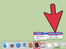 remove a program icon from the dock