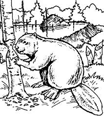 Some of the coloring page names are coloring coloring outline drawings beaver, beaver coloring at colorings to and color, beaver clipart colouring beaver colouring transparent for on, beaver. Beaver Want To Build Dam Coloring Page Coloring Sun