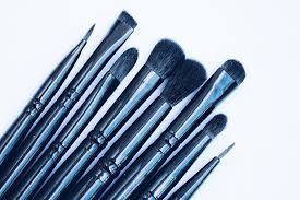 what makeup brushes you really need