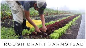rough draft farmstead no till growers