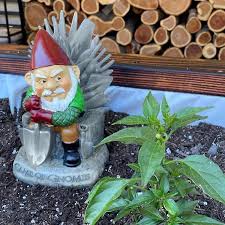 garden gnome hand painted weatherproof