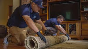 fine rug cleaning free estimates