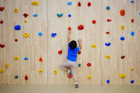 Rock Climbing Wall Kids Images Browse