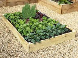 Image result for ALLOTMENT