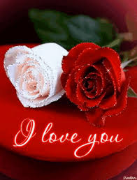 rose love gif rose love i love you