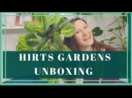 hirts gardens houseplant unboxing you