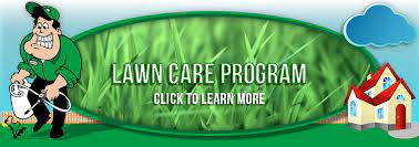 Get your free lawn care analysis today! Emerald Lawn Care Home