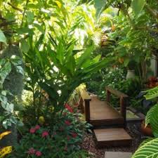 How To Grow Tropical Plants