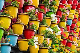Best Color Combinations For Flower Pots
