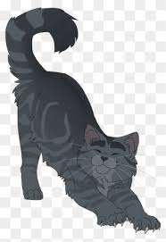 Im going to draw every warrior catu can use my art/designs if u credit me main: Warrior Cats Designs Warrior Cats Transparent Background Clipart 3590282 Pinclipart