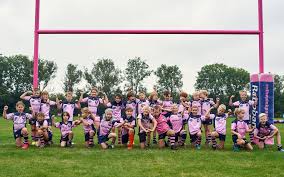 teams rc the pink panthers