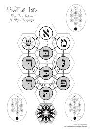 The Polyhex Tree Of Life Wall Chart By Patrick Mulcahy Issuu
