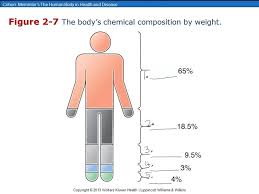 the chemistry of life diagram quizlet