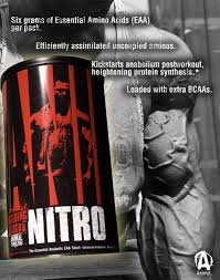 Animal Nitro By Universal Nutrition At Bodybuilding Com