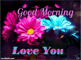 Specially created with nice and beautiful animated morning images, gif,it has a huge collection of good morning gif, so wish your friends & family a very good morning gif. 40 Good Morning I Love You Pictures