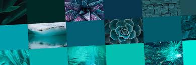 teal color everything you need to know