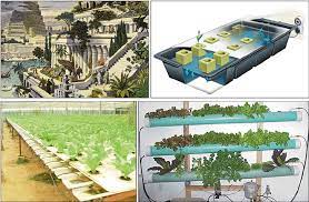 the hanging gardens of babylon was